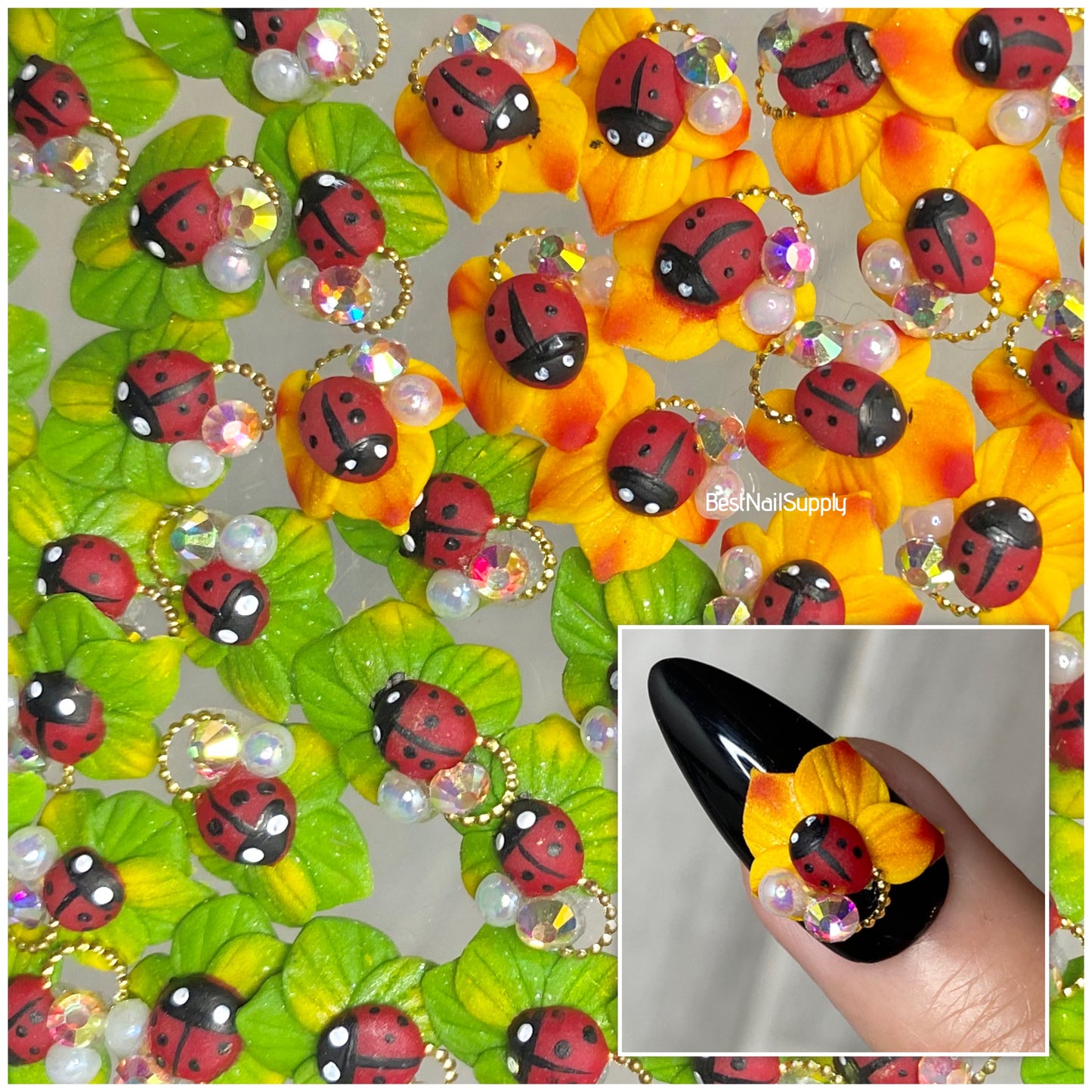 Lady Bug Acrylic (2 Options)